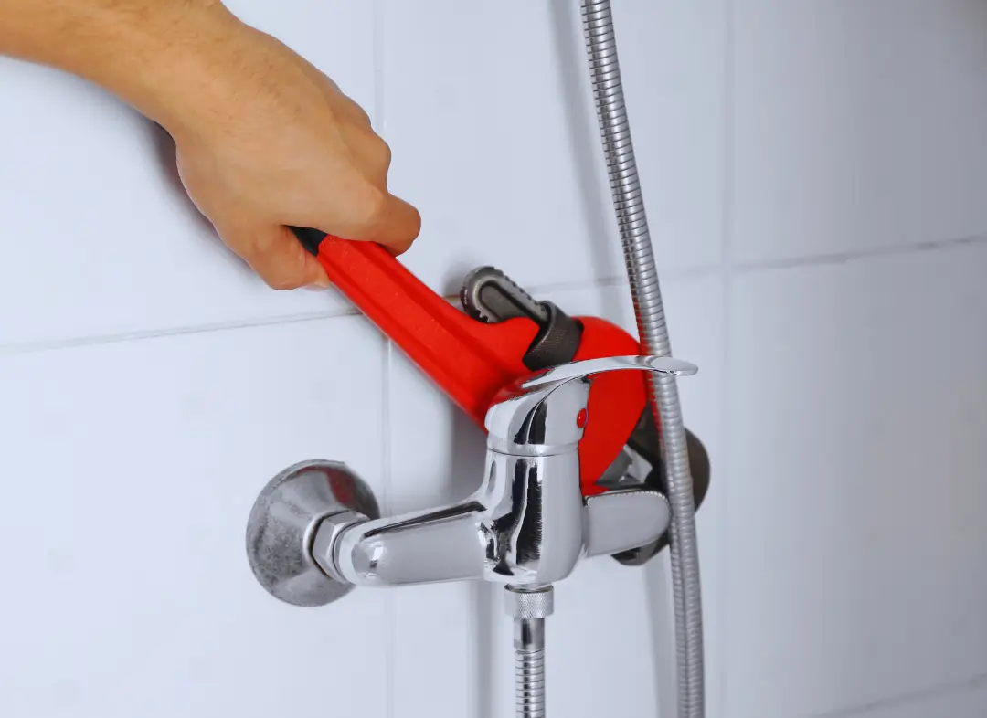 Mitigeur Thermostatique douche Grésy-sur-Aix