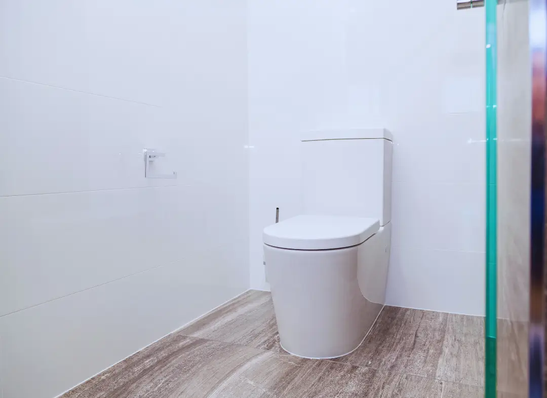 Remplacement de wc Grésy-sur-Aix