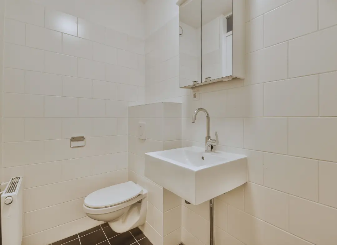 Pose WC Suspendu Grésy-sur-Aix